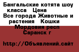 Бангальские котята шоу класса › Цена ­ 25 000 - Все города Животные и растения » Кошки   . Мордовия респ.,Саранск г.